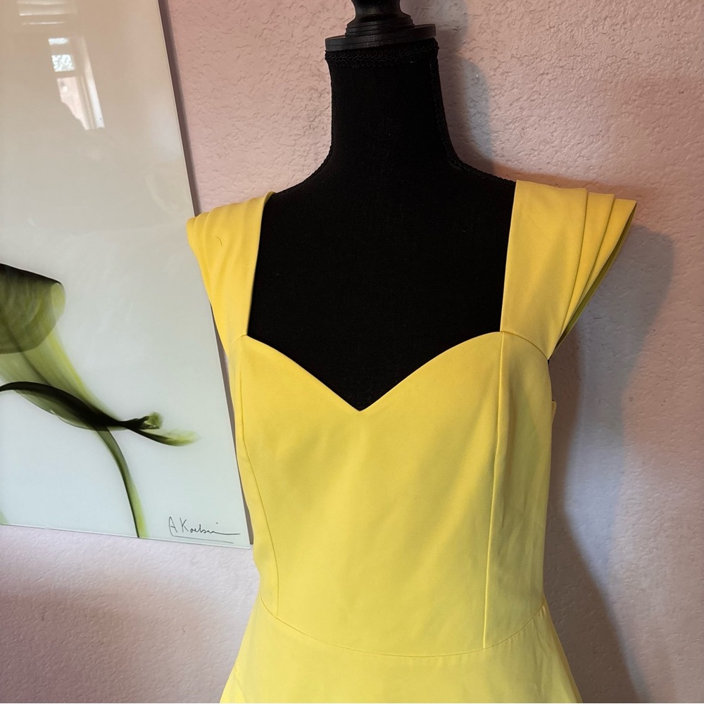 New Alice and Olivia dress size 10 - Picture 2 of 6